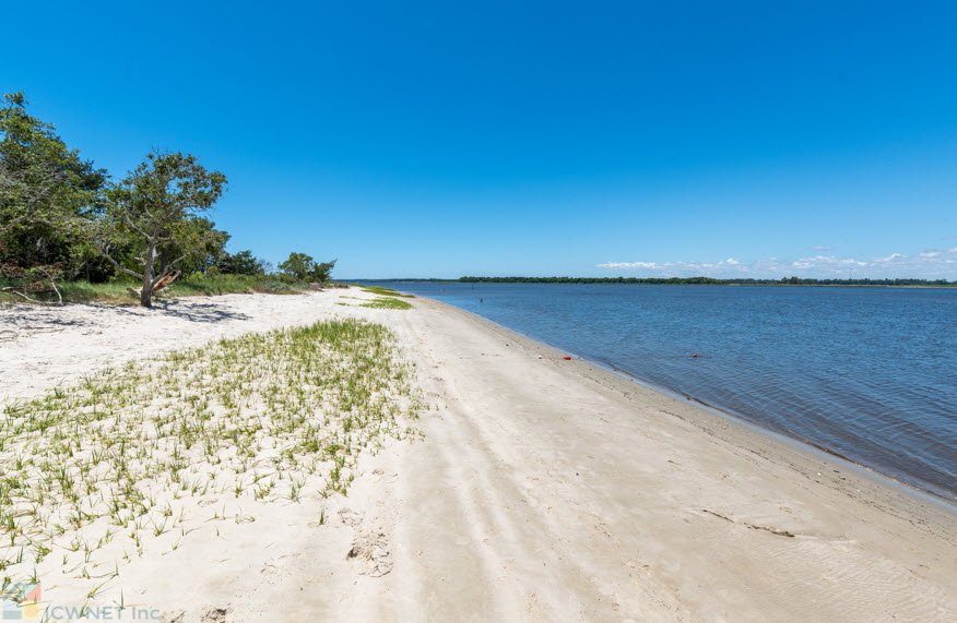 Carolina Beach State Park, North Carolina, USA